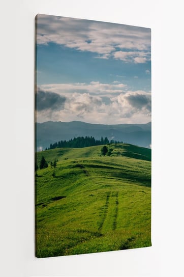 Obraz na płótnie HOMEPRINT, panorama porannej dzikiej przyrody wysoko w górach 60x120 cm HOMEPRINT