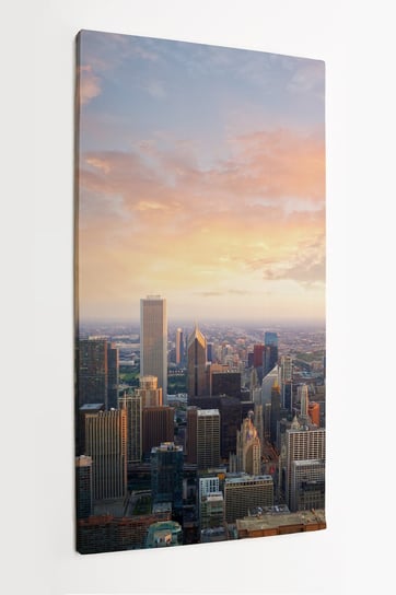 Obraz na płótnie HOMEPRINT, panorama, widok z powietrza, wieżowce, Chicago, USA 50x100 cm HOMEPRINT