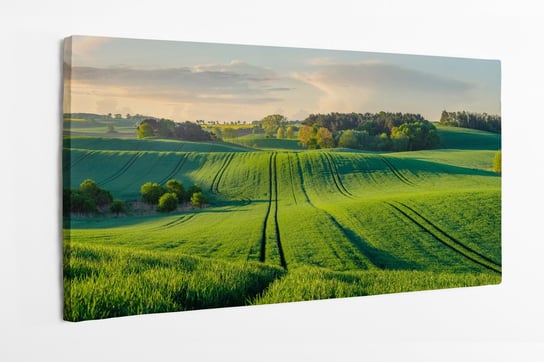 Obraz na płótnie HOMEPRINT, panorama, wiosna, pole zboża 100x50 cm HOMEPRINT