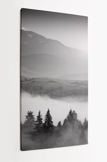 Obraz na płótnie HOMEPRINT, pasmo górskie, czarno-białe, Karpaty, krajobraz, polskie góry 50x100 cm HOMEPRINT