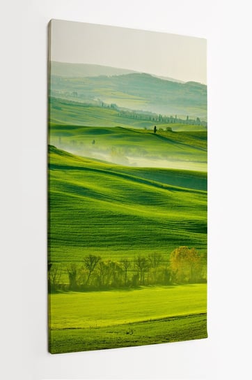 Obraz na płótnie HOMEPRINT, pejzaż Toskanii, Włochy 50x100 cm HOMEPRINT