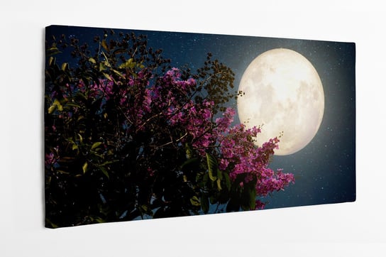 Obraz na płótnie HOMEPRINT, pełnia księżyca, noc, kwiaty, gwiazdy, ogród, superksiężyc, różowe kwiaty 120x50 cm HOMEPRINT