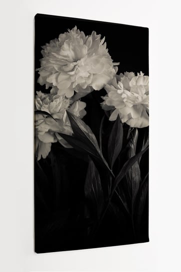 Obraz na płótnie HOMEPRINT,  piękne białe kwiaty piwonii na czarnym tle 50x100 cm HOMEPRINT