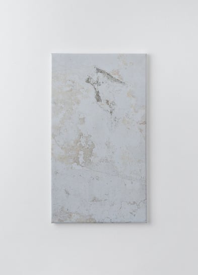 Obraz na płótnie HOMEPRINT, piękne marmurowe tło, sztuka nowoczesna, naturalny luksus 60x120 cm HOMEPRINT