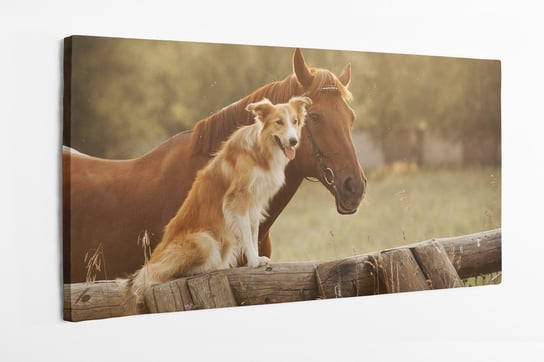 Obraz na płótnie HOMEPRINT, pies i koń 120x60 cm HOMEPRINT
