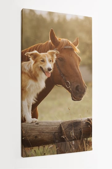 Obraz na płótnie HOMEPRINT, pies i koń 60x120 cm HOMEPRINT