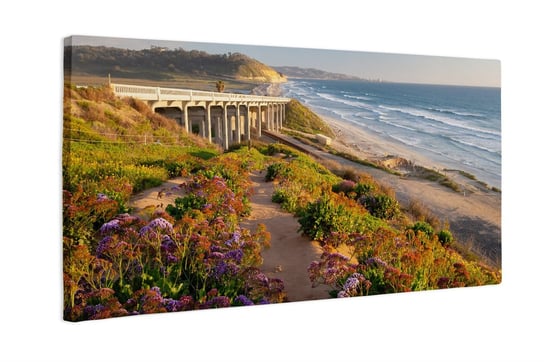 Obraz na płótnie HOMEPRINT Plaża stanowa San Diego 100x50 cm HOMEPRINT