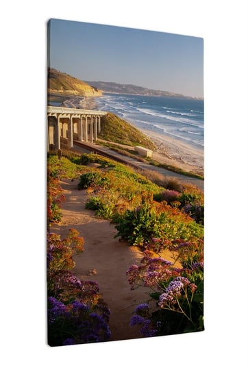 Obraz na płótnie HOMEPRINT Plaża stanowa San Diego 60x120 cm HOMEPRINT
