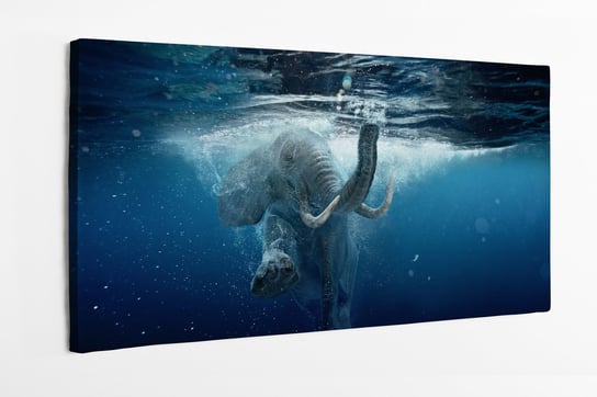 Obraz na płótnie HOMEPRINT, pływający słoń, słoń afrykański, pod wodą 120x50 cm HOMEPRINT