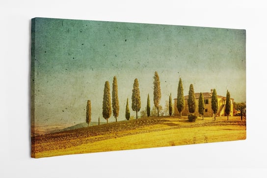 Obraz na płótnie HOMEPRINT, pola Toskanii, Włochy 100x50 cm HOMEPRINT