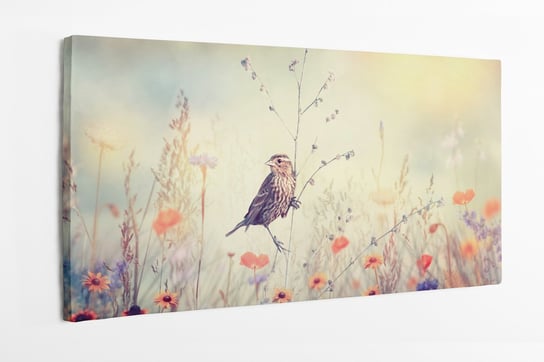 Obraz na płótnie HOMEPRINT, pole, ptak, dzika przyroda, ptak na polu, poranek 120x50 cm HOMEPRINT