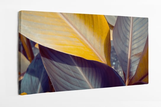 Obraz na płótnie HOMEPRINT, pomarańczowe liście, natura, żółte, zbliżenie, detale 120x60 cm HOMEPRINT