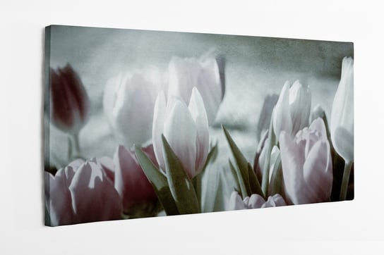 Obraz na płótnie HOMEPRINT, przyciemnione tulipany, kwiaty, rośliny, łąka tulipanów 100x50 cm HOMEPRINT