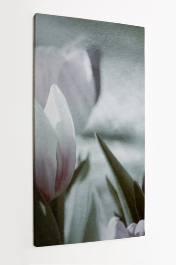 Obraz na płótnie HOMEPRINT, przyciemnione tulipany, kwiaty, rośliny, łąka tulipanów 60x120 cm HOMEPRINT