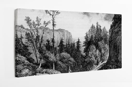 Obraz na płótnie HOMEPRINT, Pustynia JJ Rousseau, rycina, vintage 100x50 cm HOMEPRINT