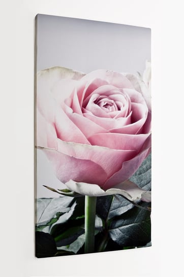 Obraz na płótnie HOMEPRINT, romantyczny bukiet kwiatów, różowe róże, kwiaty 60x120 cm HOMEPRINT
