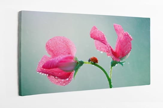 Obraz na płótnie HOMEPRINT, rosa, spokój, biedronka, czosnek pachnący, różowe płatki, kwait 120x50 cm HOMEPRINT
