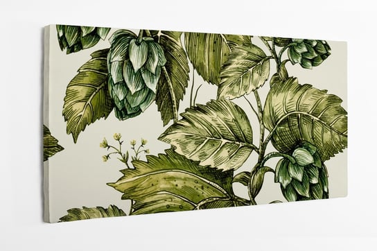 Obraz na płótnie HOMEPRINT, roślina pnąca, bluszcz, chmiel, rycina, wzór 120x50 cm HOMEPRINT