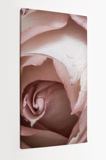 Obraz na płótnie HOMEPRINT, róża, płatki róży, różowa, delikatna, zbliżenie, detale, kwiat 50x100 cm HOMEPRINT