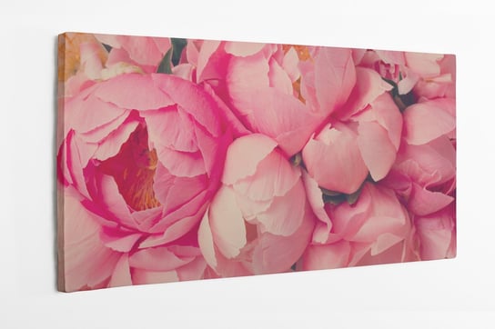Obraz na płótnie HOMEPRINT, róże różowe, piwonia chińska, tło, kwiaty, botanika 120x50 cm HOMEPRINT