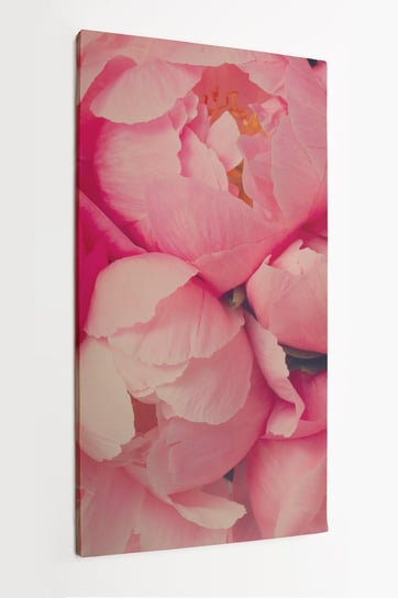 Obraz na płótnie HOMEPRINT, róże różowe, piwonia chińska, tło, kwiaty, botanika 50x100 cm HOMEPRINT