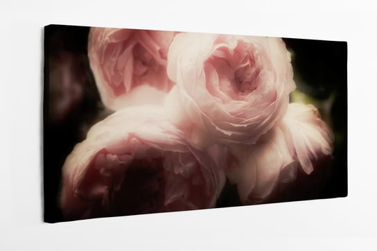 Obraz na płótnie HOMEPRINT, róże, vintage, zbliżenie, detale płatki, kwiaty, blur 120x60 cm HOMEPRINT