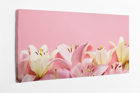 Obraz na płótnie HOMEPRINT,  różowe kwiaty lilii wodnej na różowym tle 100x50 cm HOMEPRINT