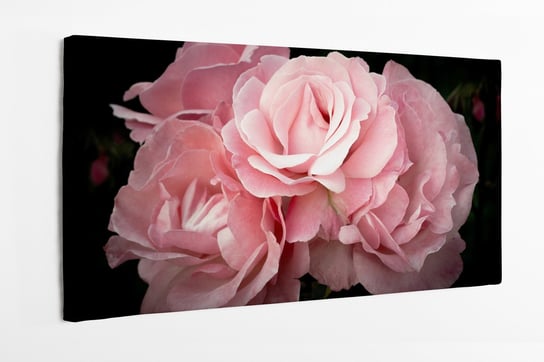 Obraz na płótnie HOMEPRINT, różowe piwonie, płatki, vintage, zbliżenie, detale 120x50 cm HOMEPRINT