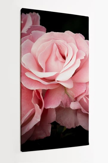 Obraz na płótnie HOMEPRINT, różowe piwonie, płatki, vintage, zbliżenie, detale 60x120 cm HOMEPRINT
