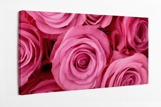 Obraz na płótnie HOMEPRINT, różowe róże, wiosna, kwiaty, płatki, róża mydlana, fuksja 100x50 cm HOMEPRINT