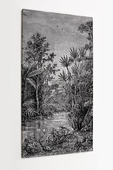 Obraz na płótnie HOMEPRINT, rycina ,grafika warsztatowa, las tropikalny 50x100 cm HOMEPRINT