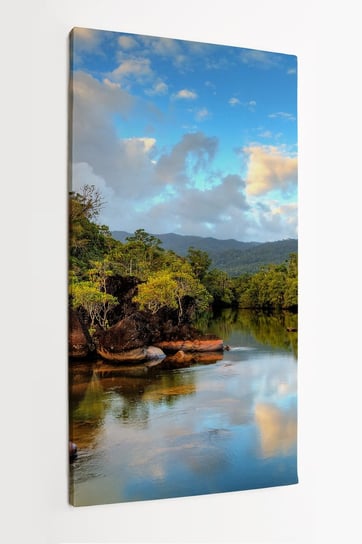 Obraz na płótnie HOMEPRINT, rzeka, dżungla, Masoala, Madagaskar 60x120 cm HOMEPRINT