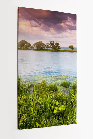 Obraz na płótnie HOMEPRINT, rzeka, trawa, jeziora, natura, Polska 50x100 cm HOMEPRINT