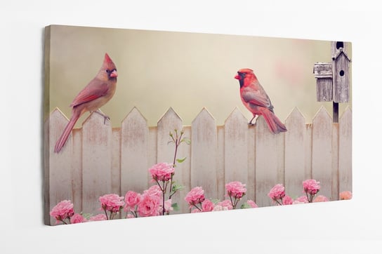 Obraz na płótnie HOMEPRINT, samiec i samica kardynała, para, ptak, poranek, różowe kwiatki 100x50 cm HOMEPRINT
