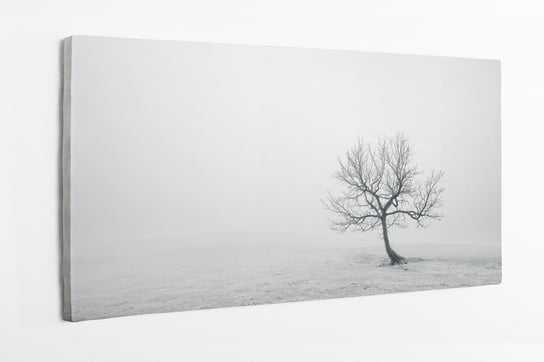 Obraz na płótnie HOMEPRINT, samotne drzewo, czarno-białe ,zimowy chłodny poranek 120x50 cm HOMEPRINT