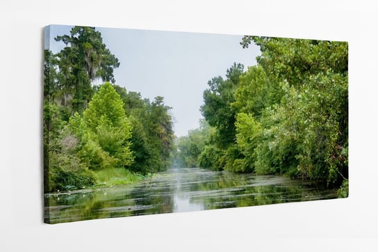 Obraz na płótnie HOMEPRINT, scena nad bagienną rzeką w Luizjanie bayou 140x70 cm HOMEPRINT