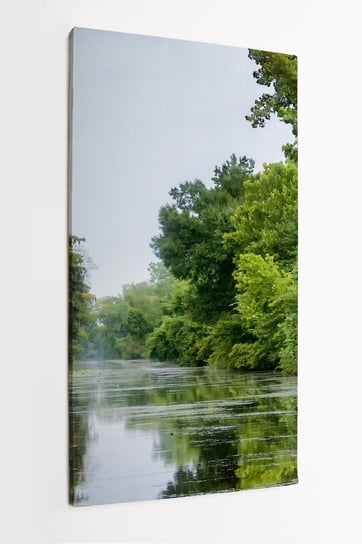 Obraz na płótnie HOMEPRINT, scena nad bagienną rzeką w Luizjanie bayou 60x120 cm HOMEPRINT