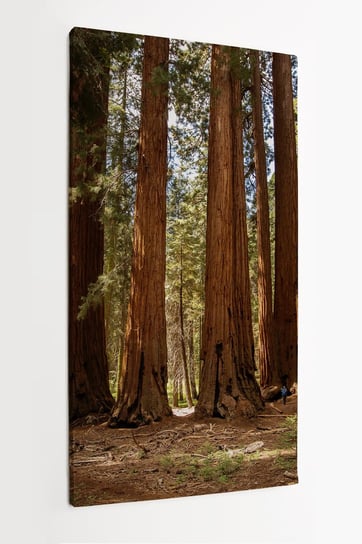 Obraz na płótnie HOMEPRINT, sekwoja, mamutowiec olbrzymi, park narodowy Sequoia w Kalifornii, USA 50x100 cm HOMEPRINT