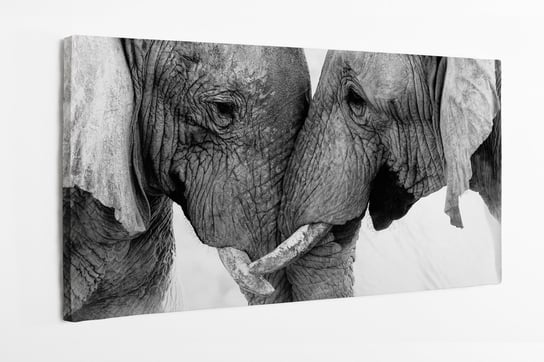 Obraz na płótnie HOMEPRINT, słonie, miłość, słonie afrykańskie 100x50 cm HOMEPRINT