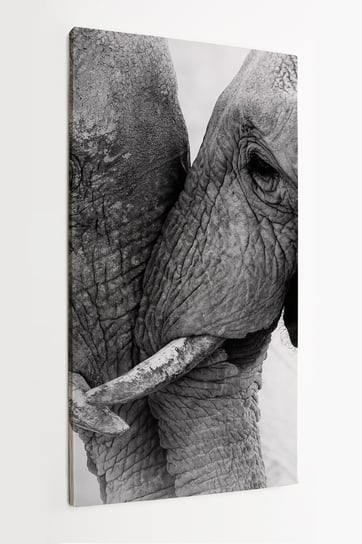 Obraz na płótnie HOMEPRINT, słonie, miłość, słonie afrykańskie 50x100 cm HOMEPRINT