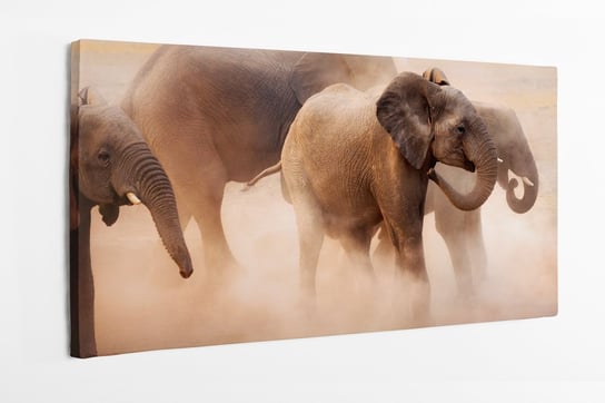Obraz na płótnie HOMEPRINT, słonie w pyle, fauna, słóń 140x70 cm HOMEPRINT