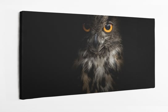 Obraz na płótnie HOMEPRINT, sowa,  puchacz zwyczajny, ciemne 100x50 cm HOMEPRINT