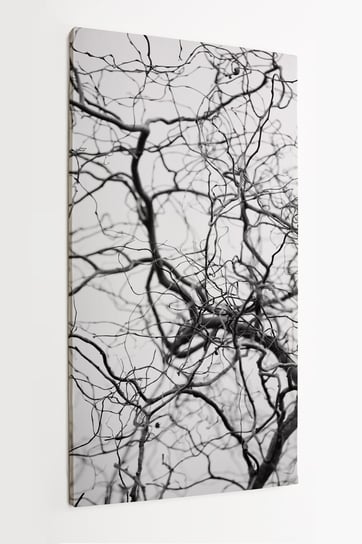 Obraz na płótnie HOMEPRINT, splątana struktura cienkich, skręconych gałęzi koron drzew, czarno-białe 50x100 cm HOMEPRINT