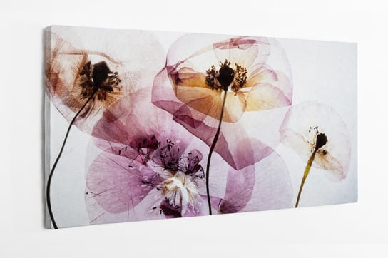 Obraz na płótnie HOMEPRINT, suche maki, wysuszane, jasne barwy, kwiaty 100x50 cm HOMEPRINT