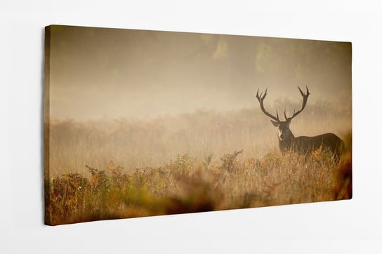 Obraz na płótnie HOMEPRINT, sylwetka jelenia szlachetnego, we mgle, dzikie, wschód słońca, pole, przyroda, las, sarna 120x60 cm HOMEPRINT