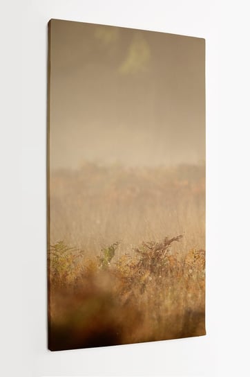 Obraz na płótnie HOMEPRINT, sylwetka jelenia szlachetnego, we mgle, dzikie, wschód słońca, pole, przyroda, las, sarna 60x120 cm HOMEPRINT
