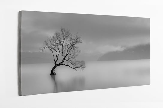 Obraz na płótnie HOMEPRINT, szarość, Samotne drzewo, jezioro wanaka, Nowa Zelandia 140x70 cm HOMEPRINT