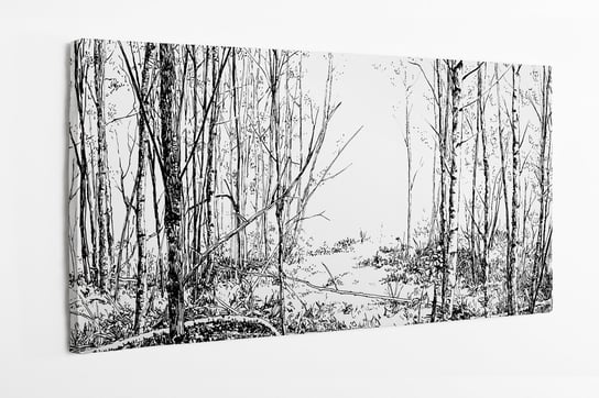 Obraz na płótnie HOMEPRINT, szkic brzozowego lasu, czarno białe, drzewa 120x60 cm HOMEPRINT