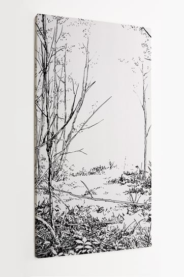 Obraz na płótnie HOMEPRINT, szkic brzozowego lasu, czarno białe, drzewa 50x100 cm HOMEPRINT