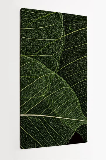 Obraz na płótnie HOMEPRINT, szkielet liści, liście, natura 50x100 cm HOMEPRINT
